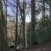 Missellis (@missell16132842) 's Twitter Profile