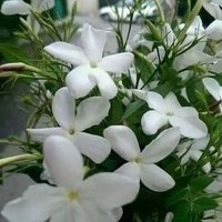 عبدالرحمن (@ujn45a) 's Twitter Profile