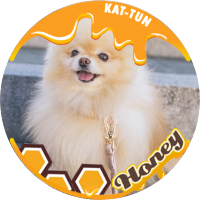 なぽ (@ueda_napo) 's Twitter Profile