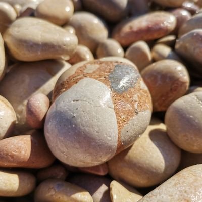 CuberaCarolina's profile picture. 