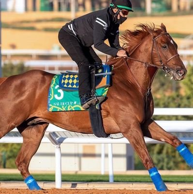 Persona sería con proyección a Orientar sobre las carreras de Caballos, Nacional e Internacional