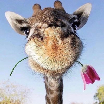 Mandy62128799's profile picture. 