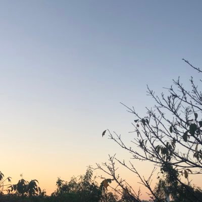 自分磨き、知識を吸収する場として活用してます。アウトプットもしてます。よろしくお願いします!今、大学生なので一緒に勉強できる仲間が欲しいです!