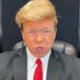 FunnyDonald45 Parody (@FunnyDonald45) Twitter profile photo