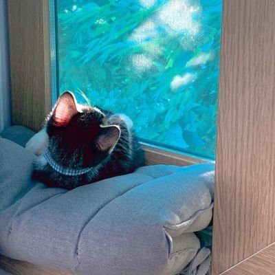 goodockham's profile picture. 