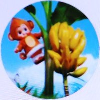 kai_116 (@yjqzv28bmq6rpxj) Twitter profile photo