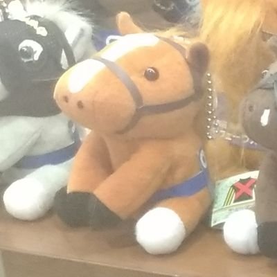 rincoismaster's profile picture. 輪来(りんこ)と申します。
基本雑多で色んな主をしています。 
FGO→奏章IV済（イド以上は致命ネタバレ自粛）（偶にアトランティスとミクトランの発作を起こします）
UT→N/P/G済 
探査機(宇宙機)がわちゃわちゃ過ごしている創作やってます🛰