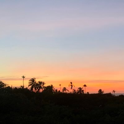 manuelagomeza's profile picture. 