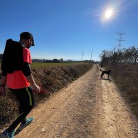 Marco Milan (@marcomilanirb) 's Twitter Profile Photo Marco Milan (@marcomilanirb) 's Twitter Profile Photo