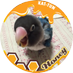 sayu🐝 (@sorapon0223) Twitter profile photo sayu🐝 (@sorapon0223) Twitter profile photo