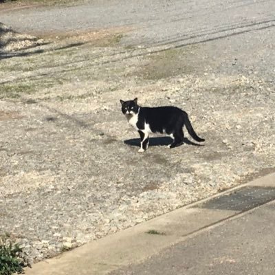 haru_mimi0512's profile picture. 