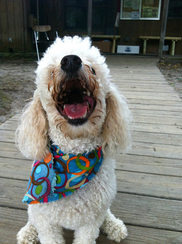 lillspadfr's profile picture. Wife and mother, trying to stay positive to live a full life. I say good luck with that!