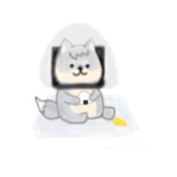ミナ (@mina11_tr) 's Twitter Profile