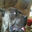 Patrick Bolden - @cleve2vegasfunk - Twitter