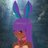 Shraiko1's profile image