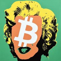 Ellen Degenerate π (@cryptonoob____) 's Twitter Profile