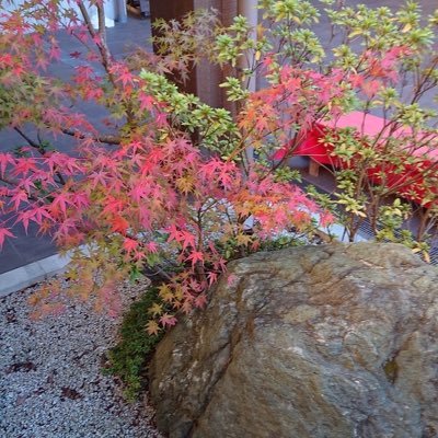 みんな元気！！