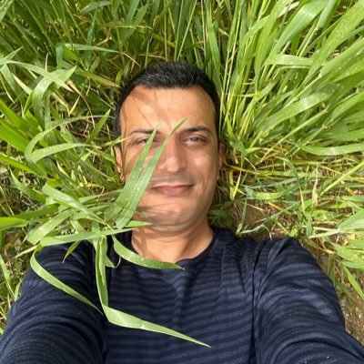 Reza_Seif_