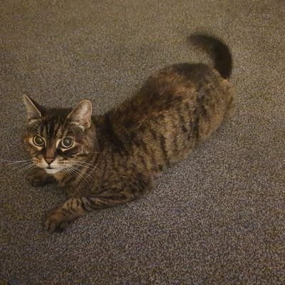 squidds89's profile picture. 