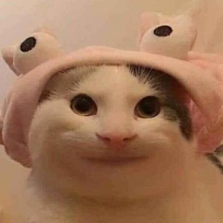 CiccinaZ's profile picture. Hi guysss