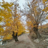 Hemdem (@1hemdem2) 's Twitter Profile