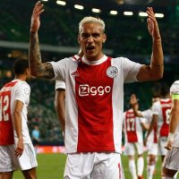 PERRO (@perromusica) 's Twitter Profile