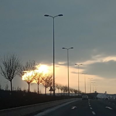 umudayolol's profile picture. 