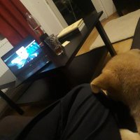 Michael Kitzing (@_michaelkitzing) 's Twitter Profile