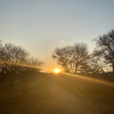 1BronwynD's profile picture. Carpe Diem