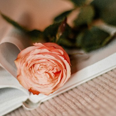 jimenezsojo's profile picture. Me gusta escribir y tengo un blog.