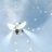 Rima_SKY_22
