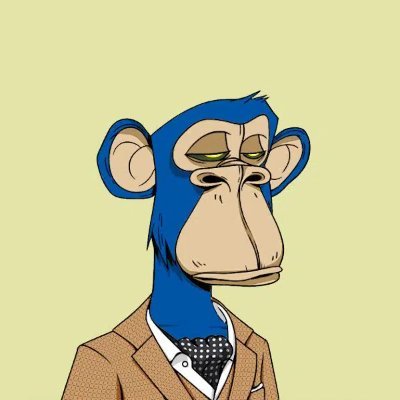 timtimrd's profile picture. 