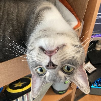 Cheesestick's profile picture. 