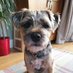 Hugo Henry BT ๐พ (@hugohenrybt) Twitter profile photo Hugo Henry BT ๐พ (@hugohenrybt) Twitter profile photo