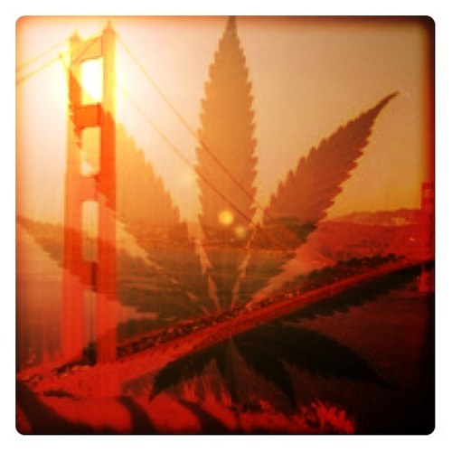 CannaBusiness News: Taking news to a higher level.  Follow us! We need your support!