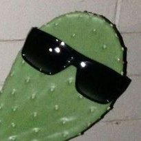 Uti49555795's profile picture. Juego de todo prácticamente. 
:)