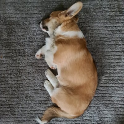 MartaSPreece's profile picture. Critical care outreach nurse at @ESHT.