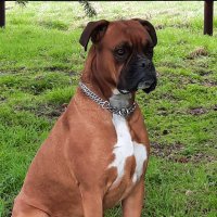 Porte Geneviève (@genevieveporte) 's Twitter Profile