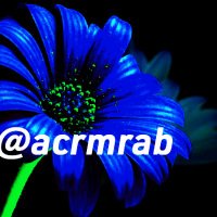 🖊️الأُستاذ (@acrmrab) Twitter profile photo