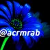 🖊️الأُستاذ (@AcrmRab) Twitter profile photo