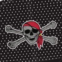 Port Charlotte High Pirates Baseball (@portchsbaseball) 's Twitter Profile Photo Port Charlotte High Pirates Baseball (@portchsbaseball) 's Twitter Profile Photo