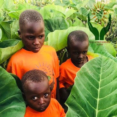 Non government organisation
we are hear to help orphans and street kid meet they goals
Please ☹️ if you have Marcy 🙏🙏 help to #Donta 🤲🤲
together we can💪