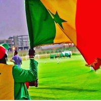 Modou Kane (@modouka62277369) 's Twitter Profile