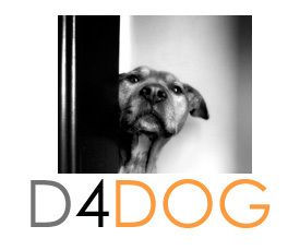 D4Dog Photography creates images of your dog that reflects their dignity, their beauty and their soul.