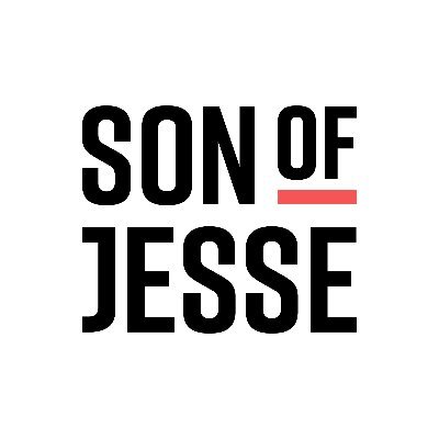 Son of Jesse designs and builds stunning websites that position your brand perfectly to enable you to punch above your weight, reach and win new customers.