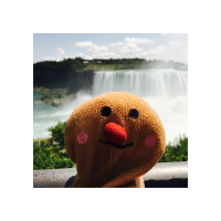 Gingey ❁ (@gingeymaster) 's Twitter Profile