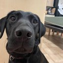 Tim Kendrick-Jones - @thejonks70 - Twitter