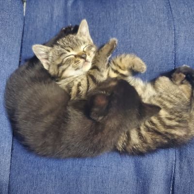 Karuma424's profile picture. 