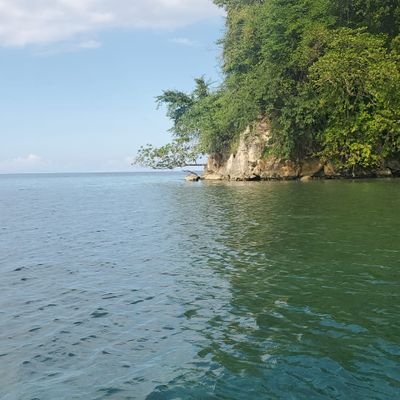 BryanMarjfaye's profile picture. 