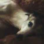 SOMETIMESOMEWHEREさんのプロフィール画像